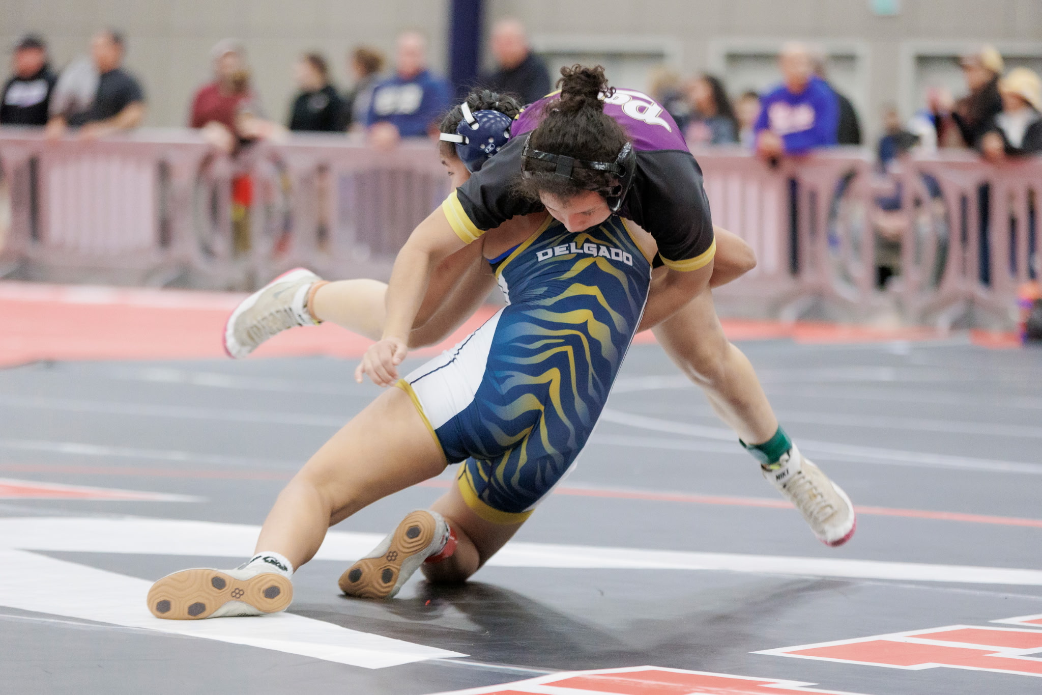 Wrestling